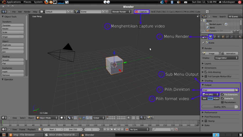 Screencapture Internal Blender 2