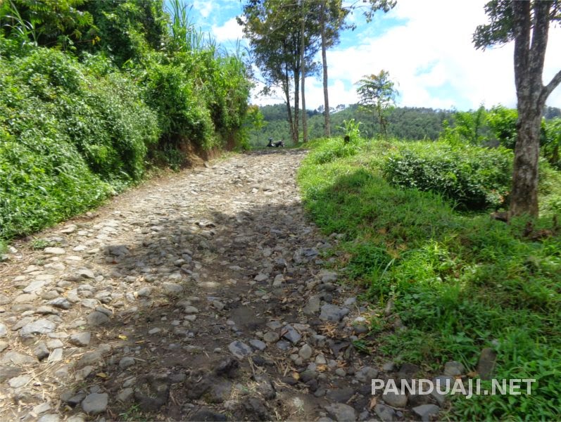 masih di kawasan perkebunan kawisari