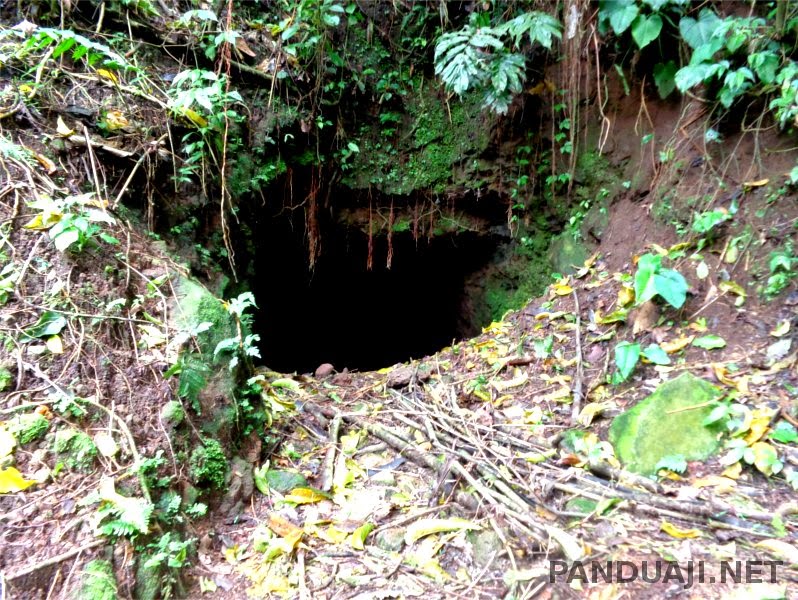 gua di perkebunan teh sirah kencong