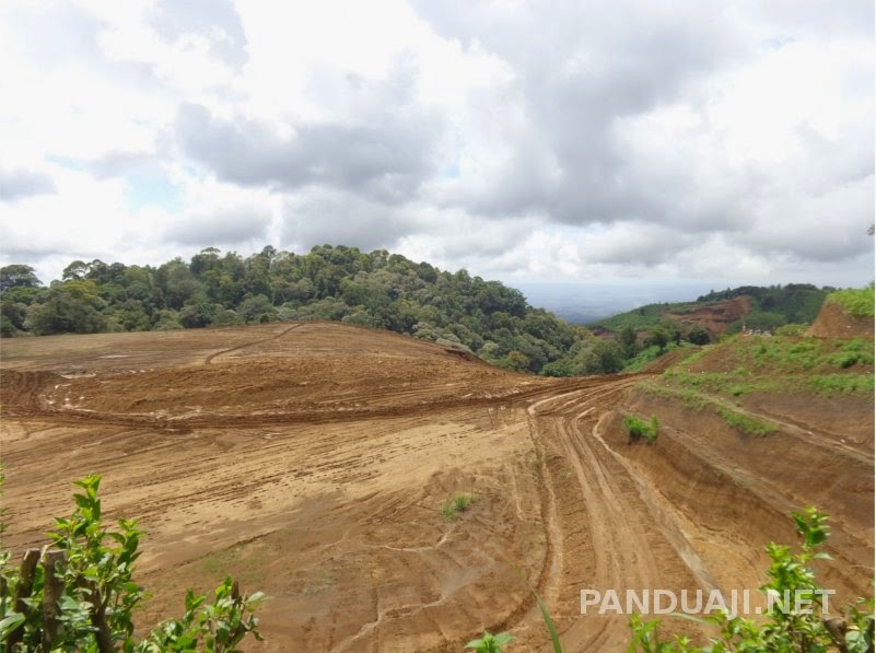 pembangunan pabrik susu greenfield