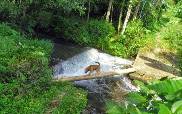 Menyusuri Sungai 