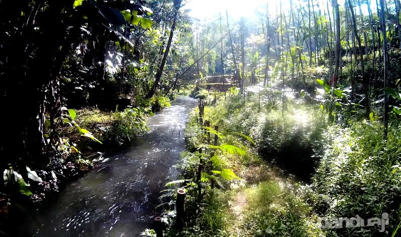 Sungai di Rambut Monte