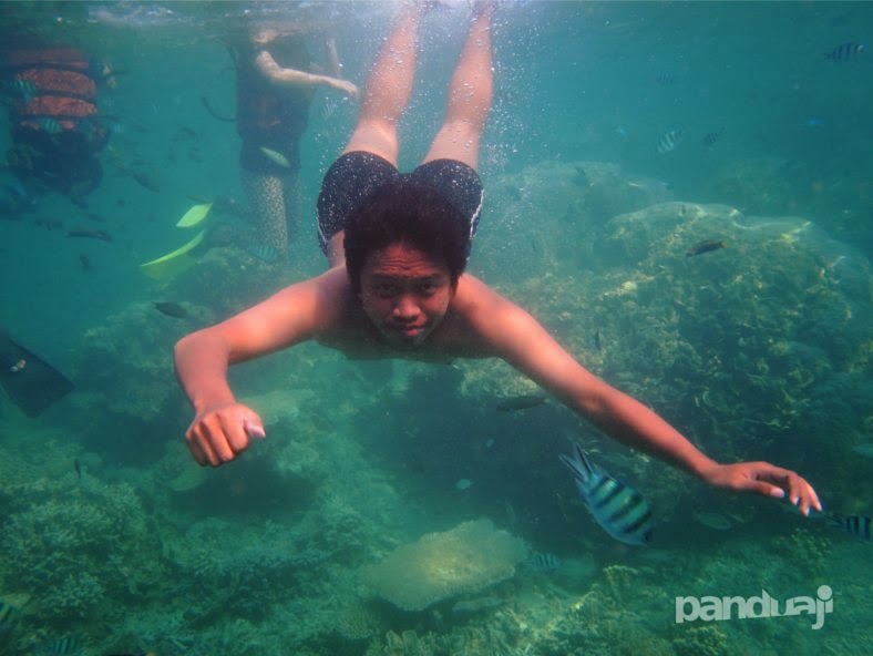 Snorkling di Karimunjawa