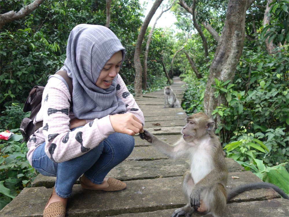 Kak Farida dengan Monyet di Pulau Kembangan