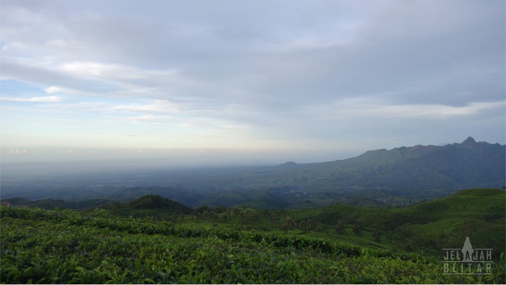 Brak Papat Sirah Kencong Blitar