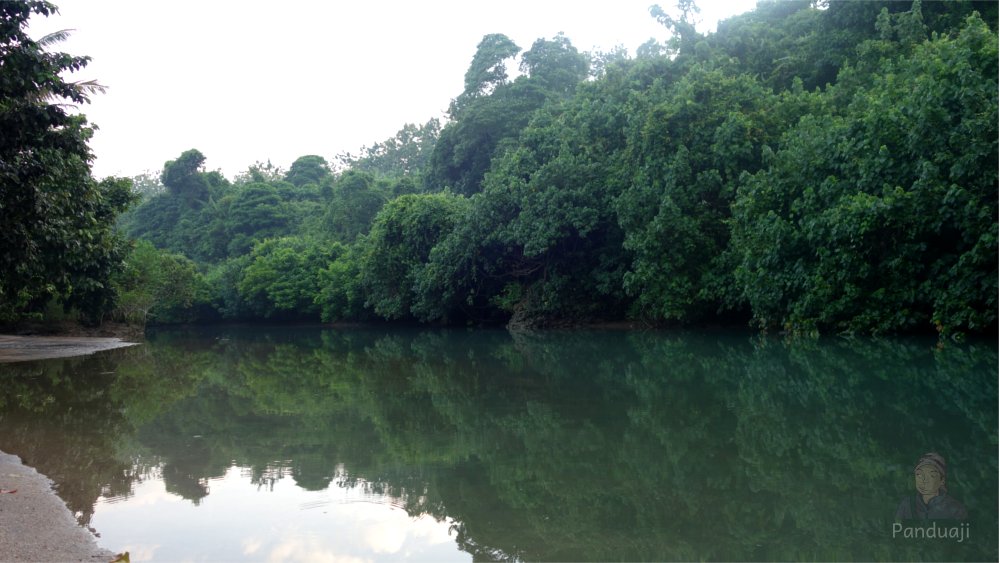 Sungai di Pantai Pangi Blitar