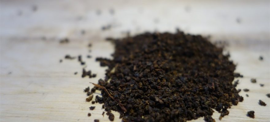 Ngintip Produksi Teh Hitam dengan Metode CTC di Pabrik Teh Sirah Kencong 1 Ngintip Produksi Teh Hitam dengan Metode CTC di Pabrik Teh Sirah Kencong 1