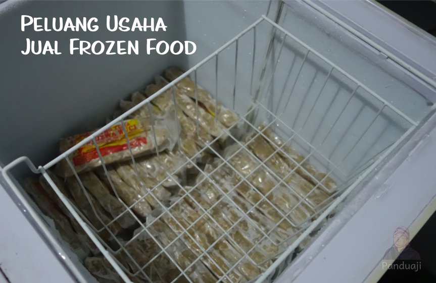 Peluang Usaha Frozen Food di Rumah