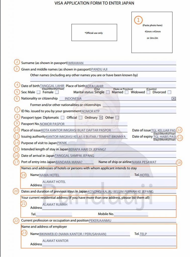 Form Aplikasi Pengajuan Visa Jepang