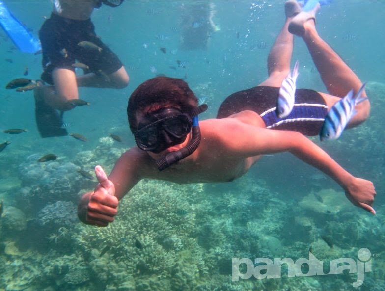 snorkling di Karimunjawa