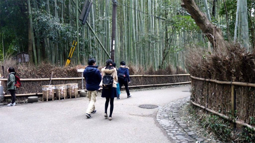 Kinkakuji, Ryoanji, Tenryuji dan Arashiyama Tempat Wajib Kunjung di Kyoto 1