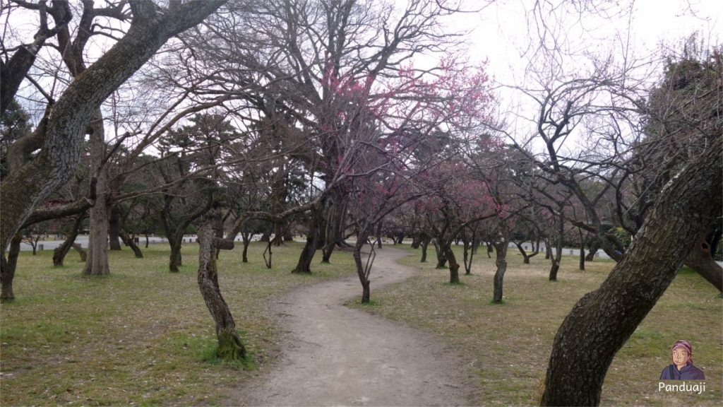 Taman di Imperial Palace