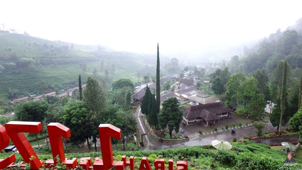 Kawasan Perkebunan Teh Sirah Kencong