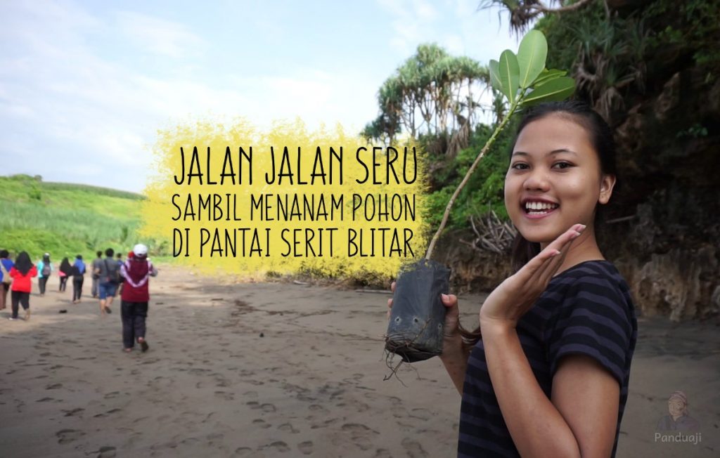 jalan jalan seru sambil menanam pohon di pantai serit Blitar jalan jalan seru sambil menanam pohon di pantai serit Blitar