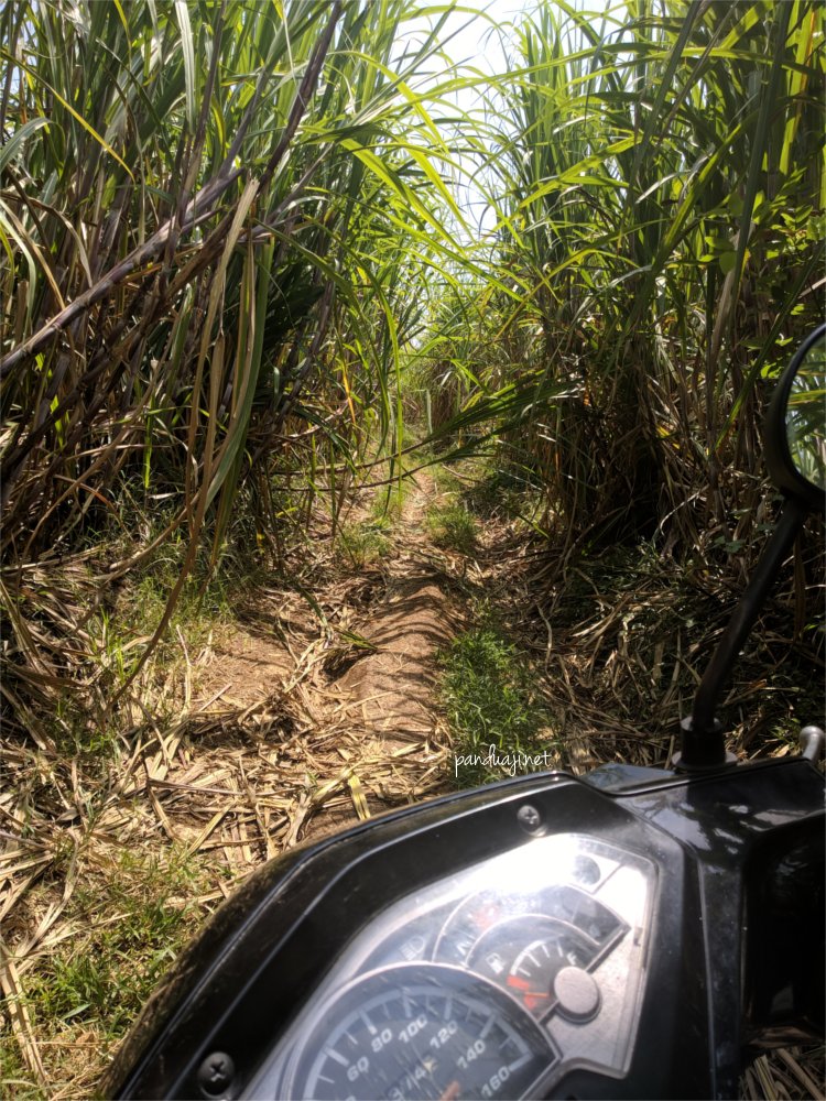 Kondisi jalan menuju ke Pantai Keben