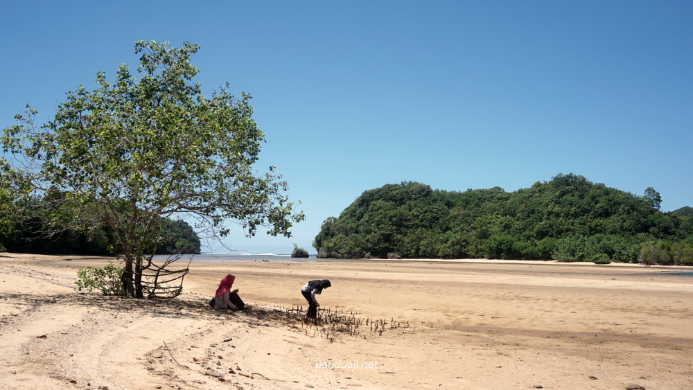 Pantai Clungup