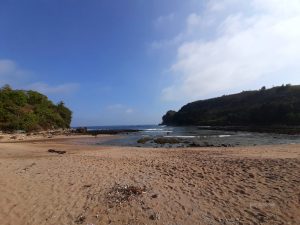 Berburu Ikan Ancang-Ancang di Pantai Pangi Blitar