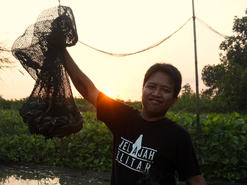 Ikan hasil tangkapan