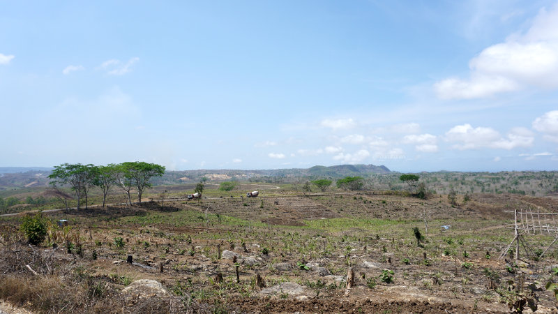 Pemandangan di Ds. Ngeni, Kec. Wonotirto, Kab. Blitar