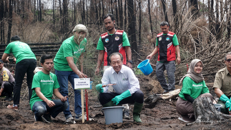 Penanaman Pohon Cemara Gunung