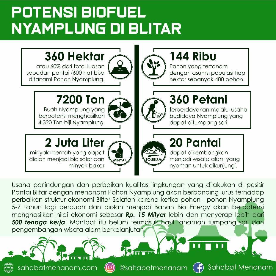 riset nyamplung