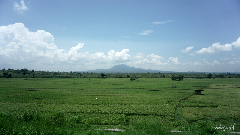 Pemandangan dari Kereta Api