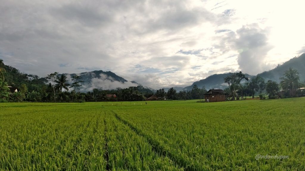 Pemandangan di Ds. Cokrokembang, Pacitan