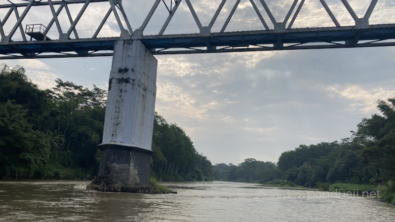 Kuliner Cilok Kalangan Ngunut Tulungagung 1