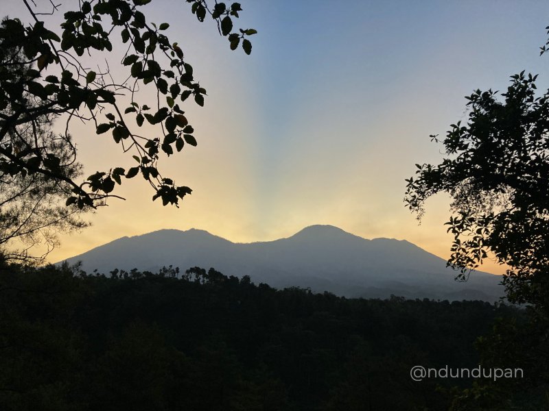 Sunrise di Hutan Pinus Loji