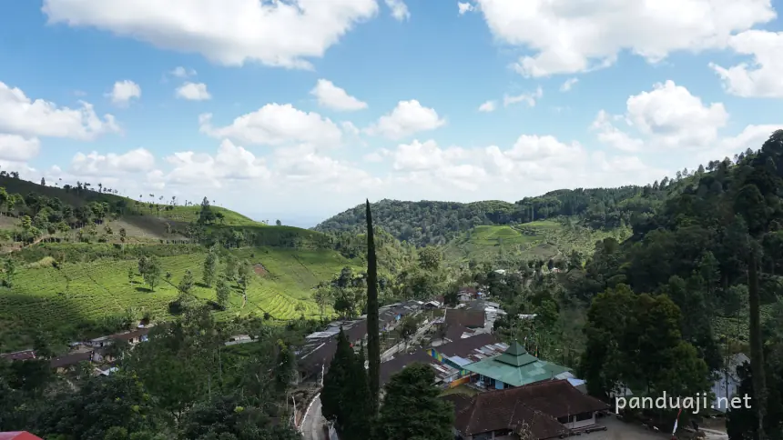 Melihat Perkebunan Teh Sirah Kencong Blitar dari atas