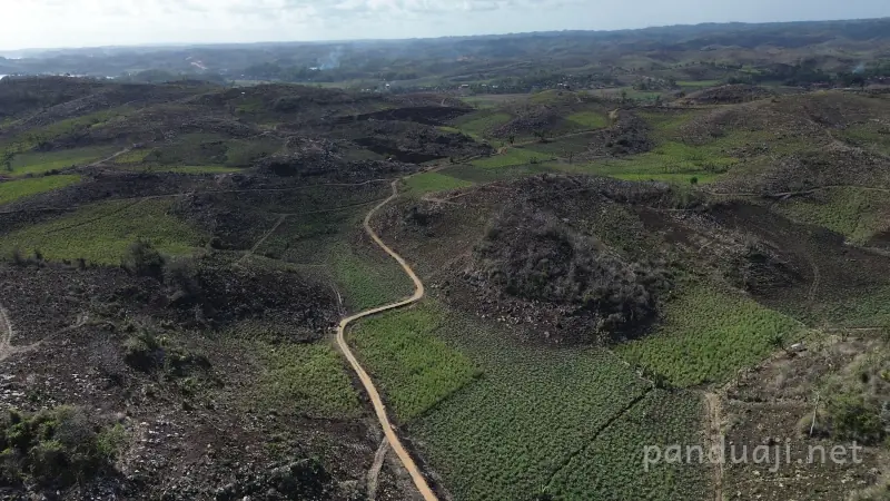 Akses Jalan dari Drone Akses Jalan dilihat dari Drone