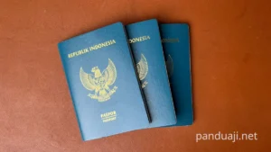 Cara Membuat Paspor Anak Bayi