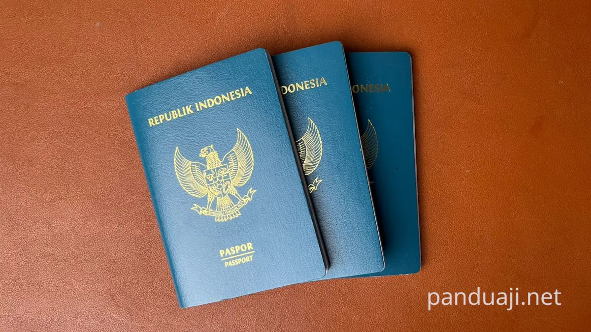 Pembuatan Paspor Bayi Pembuatan Paspor Bayi