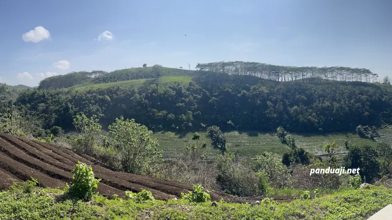 Pemandangan Bukit Indah Pemandangan Bukit Indah